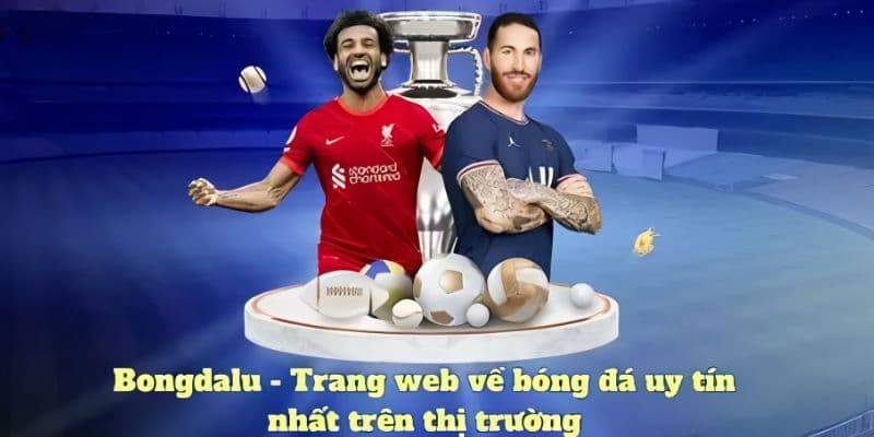 Tổng quan về website bongdalu