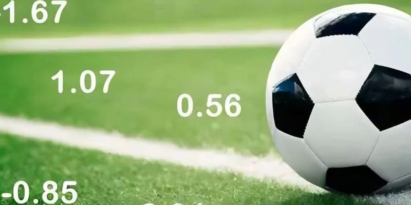 Odds trong bóng đá là gì Odds và các biến động trong thị trường cược