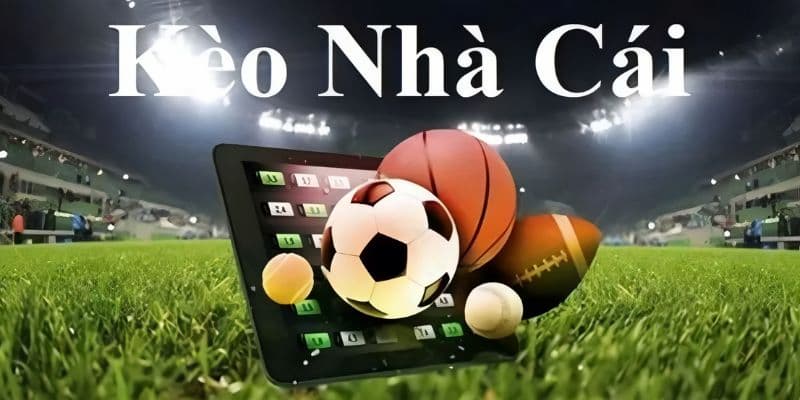 Biến động kèo - Nhận định kèo dụ