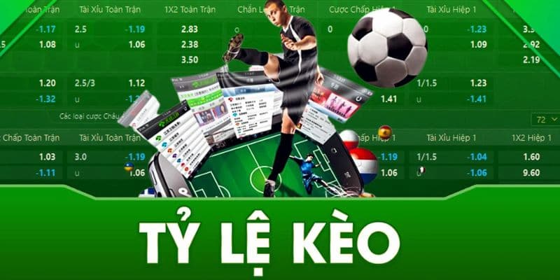 Sai lầm cược cảm tính, không phân tích